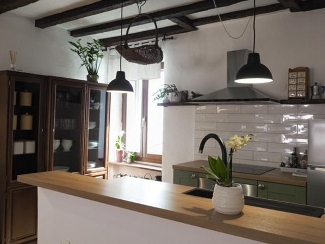 Apartment Capo D'Istria 科佩尔 外观 照片